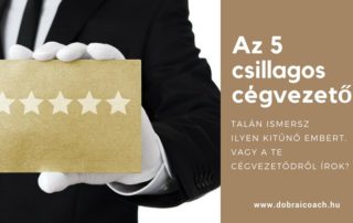 Cégvezető