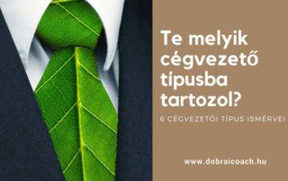 Te melyik cégvezető típusba tartozol