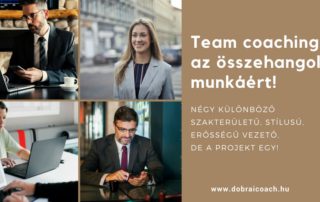 team coaching